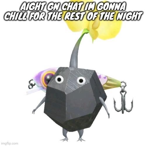 Fishing bait rock pikmin | AIGHT GN CHAT IM GONNA CHILL FOR THE REST OF THE NIGHT | image tagged in fishing bait rock pikmin | made w/ Imgflip meme maker