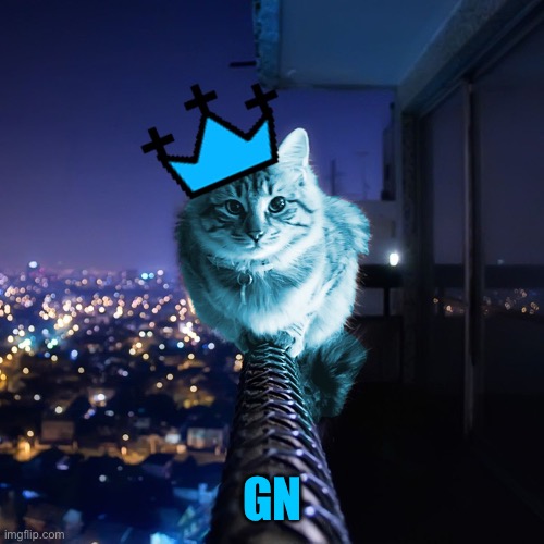 RayCat Wears The Crown | GN | image tagged in raycat wears the crown | made w/ Imgflip meme maker