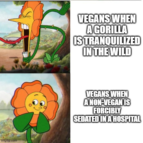 Cuphead Flower | VEGANS WHEN A GORILLA IS TRANQUILIZED IN THE WILD; VEGANS WHEN A NON-VEGAN IS FORCIBLY SEDATED IN A HOSPITAL | image tagged in cuphead flower | made w/ Imgflip meme maker