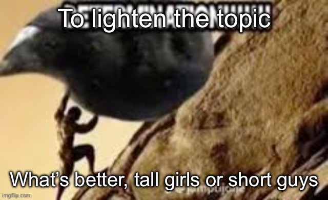 (It doesn’t mean the guy is a femboy) | To lighten the topic; What’s better, tall girls or short guys | image tagged in determination,msmg | made w/ Imgflip meme maker