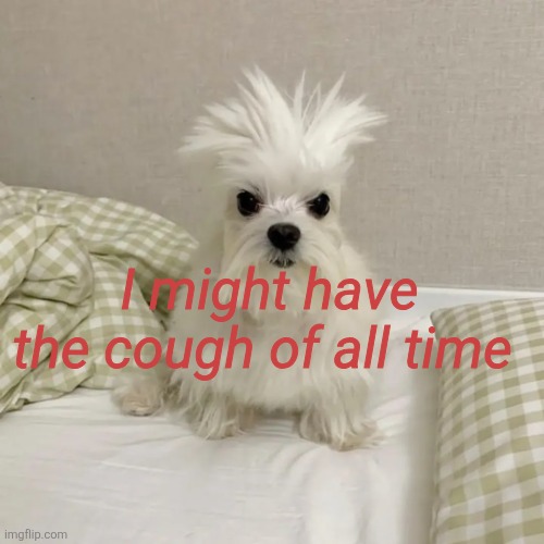I might have the cough of all time | made w/ Imgflip meme maker