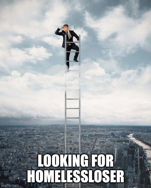 Ladder | LOOKING FOR HOMELESSLOSER | image tagged in ladder | made w/ Imgflip meme maker