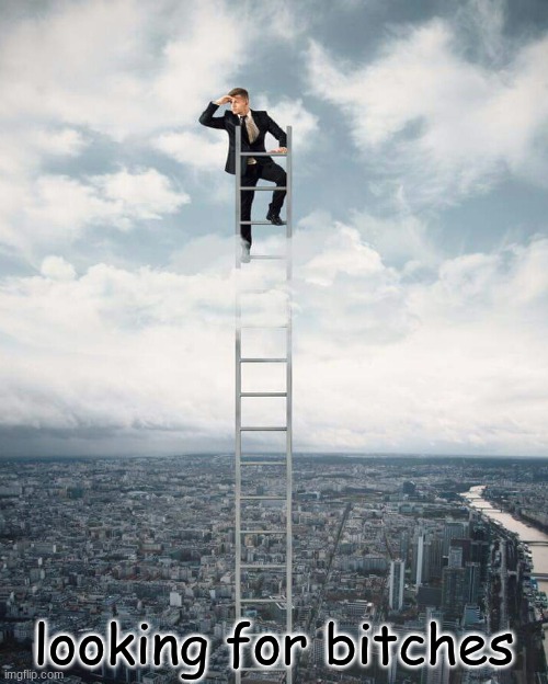 Ladder | looking for bitches | image tagged in ladder | made w/ Imgflip meme maker