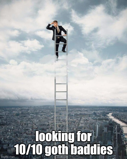 Ladder | looking for 10/10 goth baddies | image tagged in ladder | made w/ Imgflip meme maker