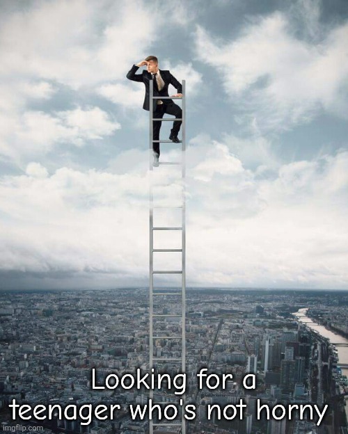 Ladder | Looking for a teenager who's not horny | image tagged in ladder | made w/ Imgflip meme maker