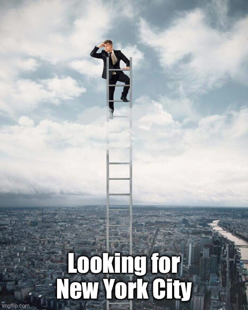 Ladder | Looking for New York City | image tagged in ladder | made w/ Imgflip meme maker