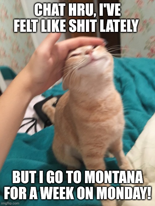 SCHOOL SUMMER TRIP, SCHOOL SUMMER TRIP! | CHAT HRU, I'VE FELT LIKE SHIT LATELY; BUT I GO TO MONTANA FOR A WEEK ON MONDAY! | image tagged in cat pat | made w/ Imgflip meme maker
