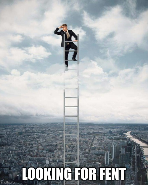 Ladder | LOOKING FOR FENT | image tagged in ladder | made w/ Imgflip meme maker