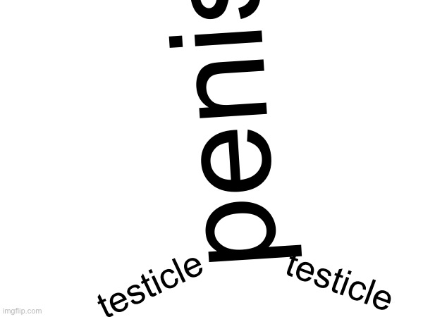 penis; testicle; testicle | made w/ Imgflip meme maker