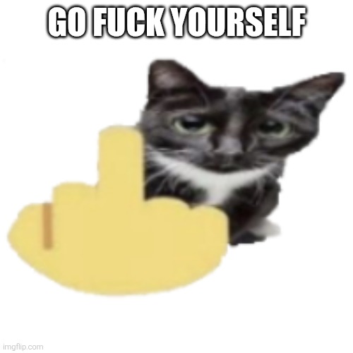 cat holding up middle finger | GO FUCK YOURSELF | image tagged in cat holding up middle finger | made w/ Imgflip meme maker