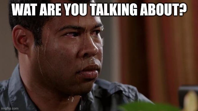 sweating bullets | WAT ARE YOU TALKING ABOUT? | image tagged in sweating bullets | made w/ Imgflip meme maker