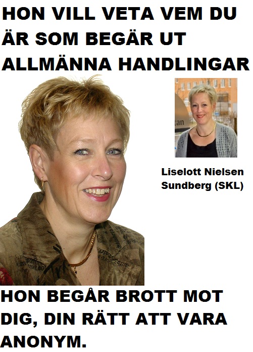 Liselotte Nielsen - SKL - Vem är du som begär allmänna handlinga Blank Meme Template