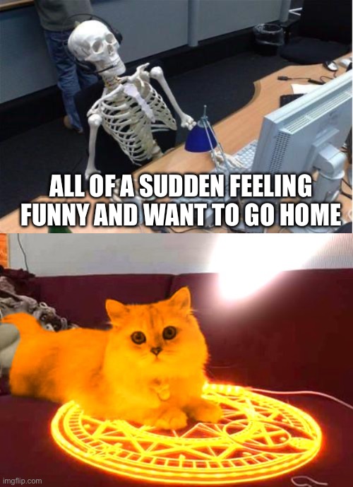 GM | ALL OF A SUDDEN FEELING FUNNY AND WANT TO GO HOME | image tagged in skeleton at desk/computer/work,raycat powers,memes | made w/ Imgflip meme maker