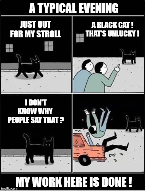 There Is Superstition ! | A TYPICAL EVENING; JUST OUT FOR MY STROLL; A BLACK CAT ! 
THAT'S UNLUCKY ! I DON'T KNOW WHY
 PEOPLE SAY THAT ? MY WORK HERE IS DONE ! | image tagged in cats,black cat,superstition | made w/ Imgflip meme maker