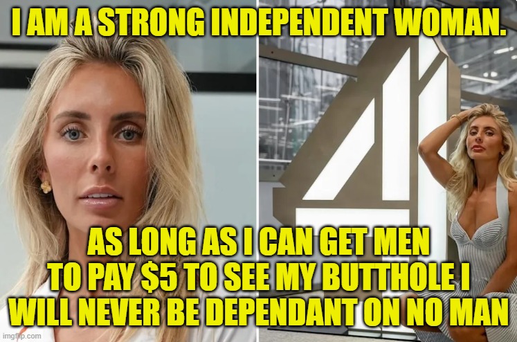 Feminism Theory 101 | I AM A STRONG INDEPENDENT WOMAN. AS LONG AS I CAN GET MEN TO PAY $5 TO SEE MY BUTTHOLE I WILL NEVER BE DEPENDANT ON NO MAN | image tagged in feminism,modern problems,relationships,strong women,strong woman,stripper pole | made w/ Imgflip meme maker