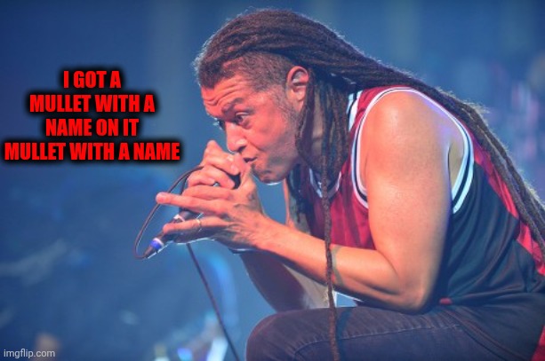 I GOT A MULLET WITH A NAME ON IT
MULLET WITH A NAME | image tagged in mullet,metal,heavy metal,singer | made w/ Imgflip meme maker
