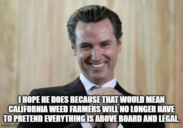 Scheming Gavin Newsom  | I HOPE HE DOES BECAUSE THAT WOULD MEAN CALIFORNIA WEED FARMERS WILL NO LONGER HAVE TO PRETEND EVERYTHING IS ABOVE BOARD AND LEGAL. | image tagged in scheming gavin newsom | made w/ Imgflip meme maker