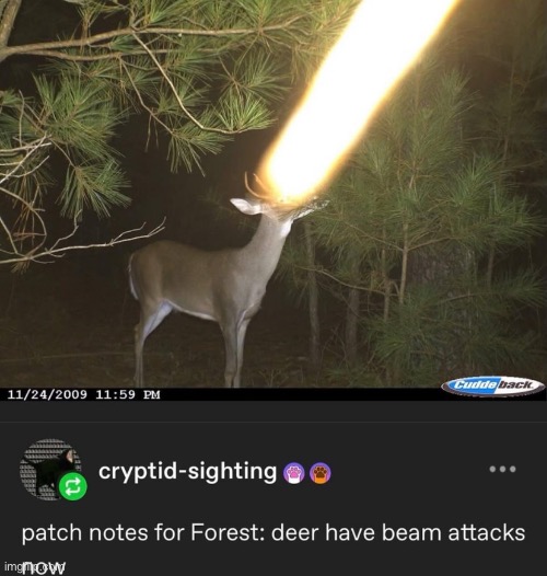 New patch notes for forest biomes. | made w/ Imgflip meme maker