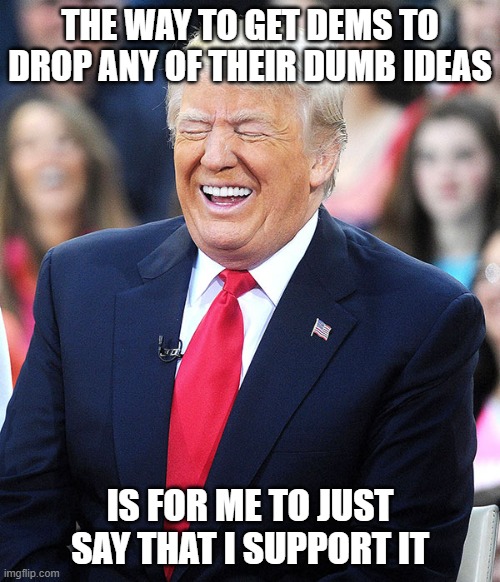trump laughing | THE WAY TO GET DEMS TO DROP ANY OF THEIR DUMB IDEAS IS FOR ME TO JUST SAY THAT I SUPPORT IT | image tagged in trump laughing | made w/ Imgflip meme maker