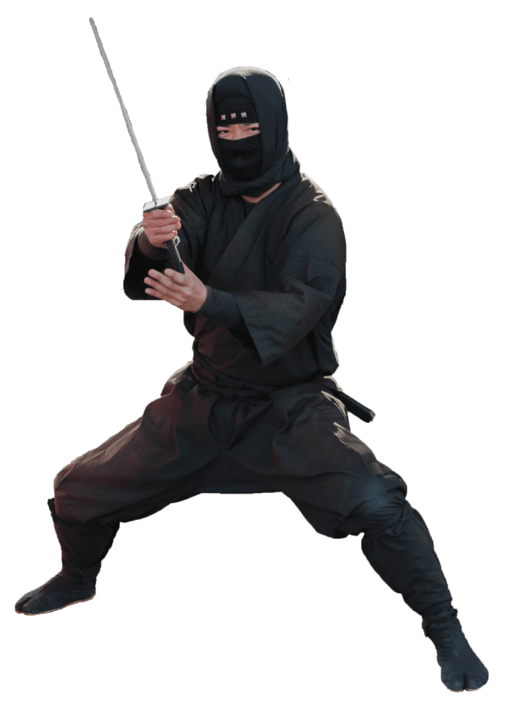 Ninja swordsman Blank Meme Template