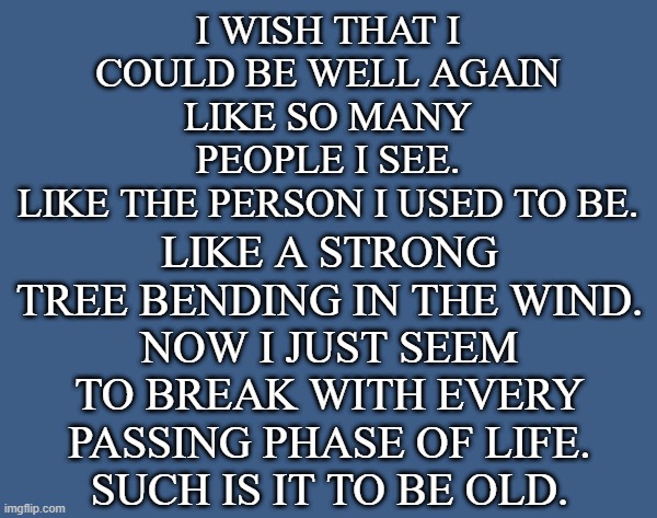 Getting old sucks | I WISH THAT I COULD BE WELL AGAIN LIKE SO MANY PEOPLE I SEE.
LIKE THE PERSON I USED TO BE. LIKE A STRONG TREE BENDING IN THE WIND.
NOW I JUST SEEM TO BREAK WITH EVERY PASSING PHASE OF LIFE.
SUCH IS IT TO BE OLD. | image tagged in getting older,getting old,being old,gettting old sucks,wish i was well again | made w/ Imgflip meme maker