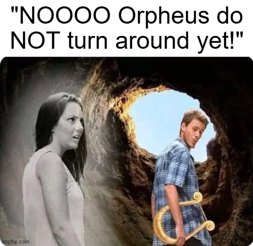 Poor Eurydice... | "NOOOO Orpheus do NOT turn around yet!" | image tagged in greek mythology,memes,orpheus and eurydice | made w/ Imgflip meme maker