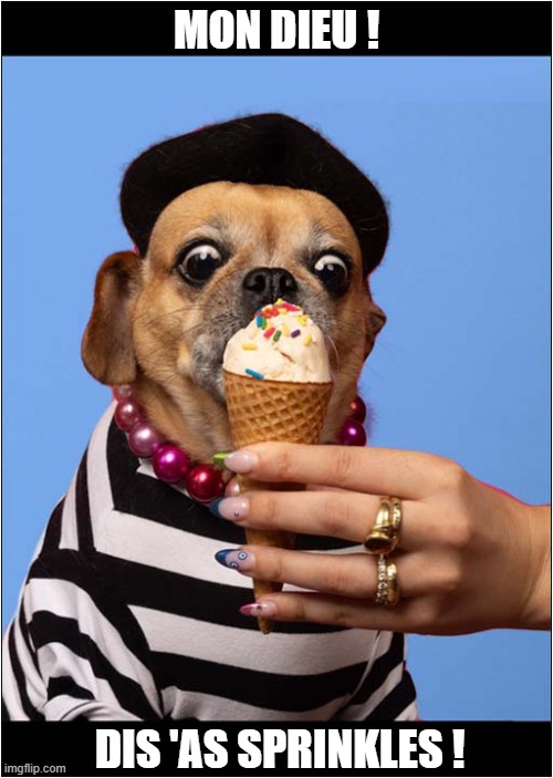 This French Dog Loves Ice Cream ! | MON DIEU ! DIS 'AS SPRINKLES ! | image tagged in dogs,french,ice cream,sprinkles | made w/ Imgflip meme maker