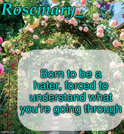 Rosemary_ template | Born to be a hater, forced to understand what you’re going through | image tagged in rosemary_ template | made w/ Imgflip meme maker