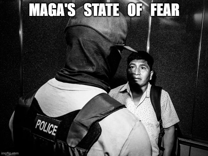 The New America | MAGA'S   STATE   OF   FEAR | image tagged in maga | made w/ Imgflip meme maker
