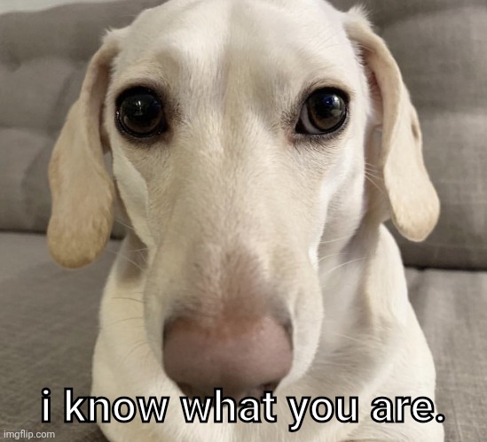 i know what you are. | image tagged in i know what you are | made w/ Imgflip meme maker