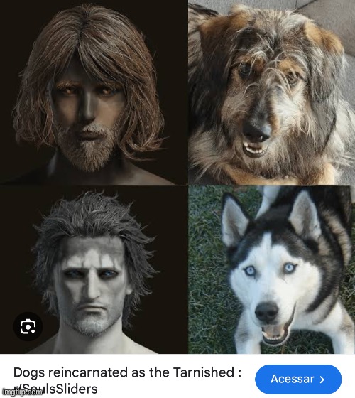 ZAMN, Why the husky built like an protagonist | image tagged in memes,shitpost,elden ring,dogs,character creation | made w/ Imgflip meme maker