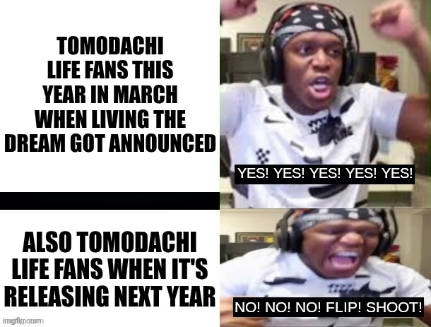 I bet the fans are still dying to wait though | TOMODACHI LIFE FANS THIS YEAR IN MARCH WHEN LIVING THE DREAM GOT ANNOUNCED; ALSO TOMODACHI LIFE FANS WHEN IT'S RELEASING NEXT YEAR | image tagged in yes yes yes no no no ksi,memes,funny,tomodachi life | made w/ Imgflip meme maker
