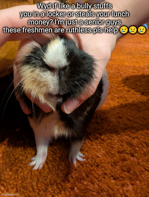 bean | Wyd if like a bully stuffs you in a locker or steals your lunch money? I'm just a senior guys these freshmen are ruthless pls help 😢😢😢 | image tagged in help,school,i'm homeschooled btw | made w/ Imgflip meme maker