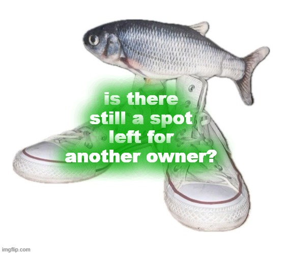 fih | is there still a spot left for another owner? | image tagged in fih | made w/ Imgflip meme maker