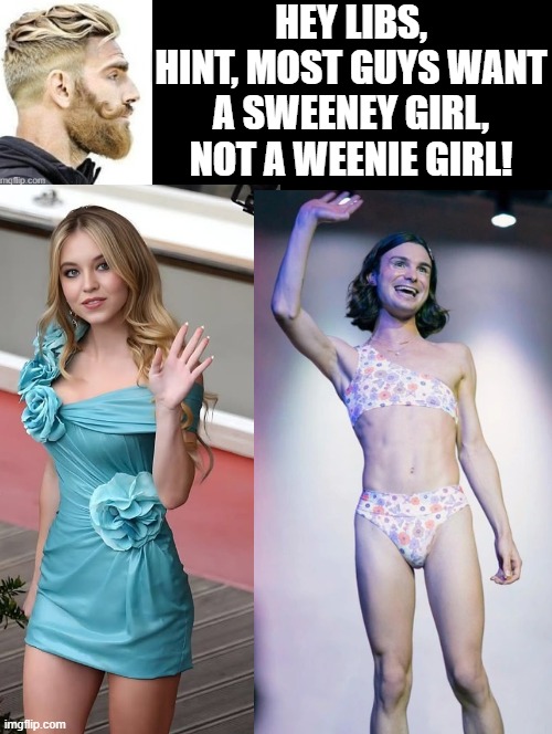 Sweeney Versus Weinle! | HEY LIBS, HINT, MOST GUYS WANT A SWEENEY GIRL, NOT A WEENIE GIRL! | image tagged in stupid liberals | made w/ Imgflip meme maker