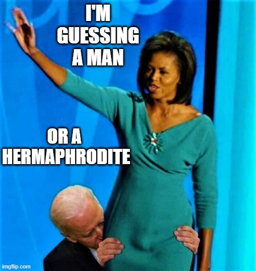 Biden sniffs Michelle Obama | I'M GUESSING A MAN OR A 
HERMAPHRODITE | image tagged in biden sniffs michelle obama | made w/ Imgflip meme maker
