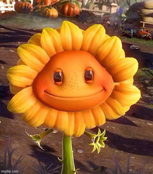 Pvz sunflower | image tagged in pvz sunflower | made w/ Imgflip meme maker
