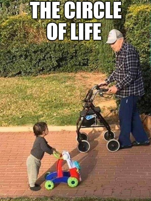 The Circle Of Life | THE CIRCLE OF LIFE | image tagged in chrisjoines1 | made w/ Imgflip meme maker