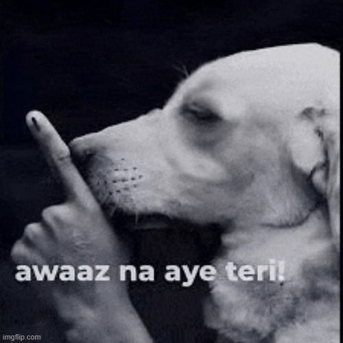 awaz na aye teri | image tagged in awaz na aye teri | made w/ Imgflip meme maker