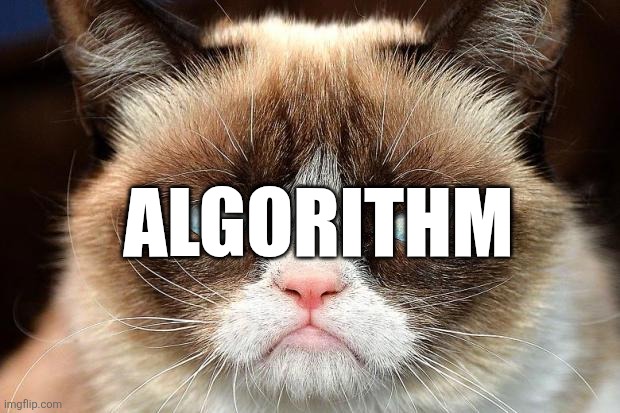 Grumpy Cat Not Amused Meme | ALGORITHM | image tagged in memes,grumpy cat not amused,grumpy cat | made w/ Imgflip meme maker