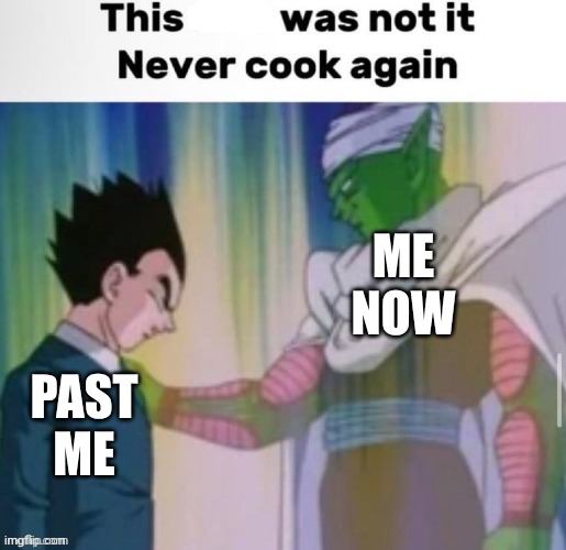This shit was not it never cook again | ME NOW PAST ME | image tagged in this shit was not it never cook again | made w/ Imgflip meme maker