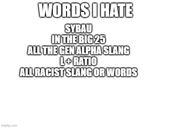 especially in the big 25 and sybau | WORDS I HATE; SYBAU
IN THE BIG 25
ALL THE GEN ALPHA SLANG
L + RATIO
ALL RACIST SLANG OR WORDS | image tagged in oh wow are you actually reading these tags | made w/ Imgflip meme maker