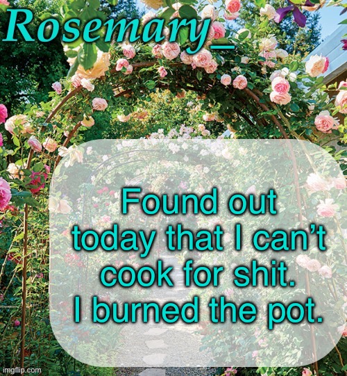 Rosemary_ template | Found out today that I can’t cook for shit. I burned the pot. | image tagged in rosemary_ template | made w/ Imgflip meme maker