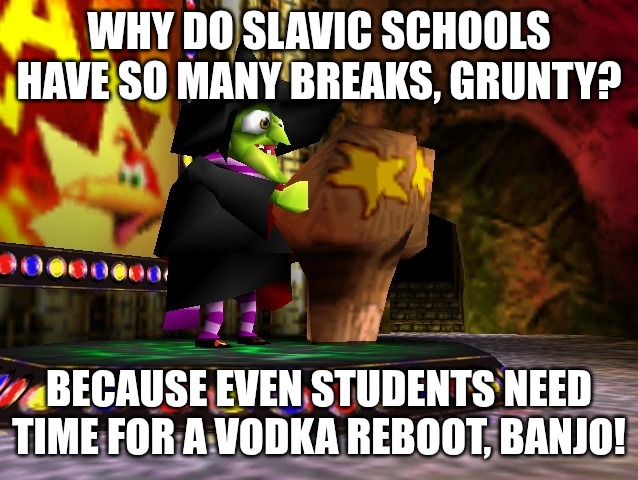 Banjo Kazooie Gruntilda | WHY DO SLAVIC SCHOOLS HAVE SO MANY BREAKS, GRUNTY? BECAUSE EVEN STUDENTS NEED TIME FOR A VODKA REBOOT, BANJO! | image tagged in banjo kazooie gruntilda,slavic lives matter,slavic battle | made w/ Imgflip meme maker