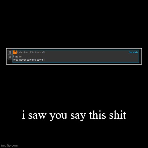 i saw you say this shit | | image tagged in funny,demotivationals | made w/ Imgflip demotivational maker