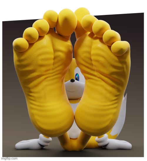 Tails Feet 3D | image tagged in tails feet 3d | made w/ Imgflip meme maker