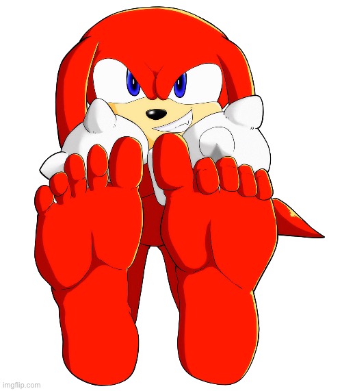 Knuckles Feet | image tagged in knuckles feet | made w/ Imgflip meme maker