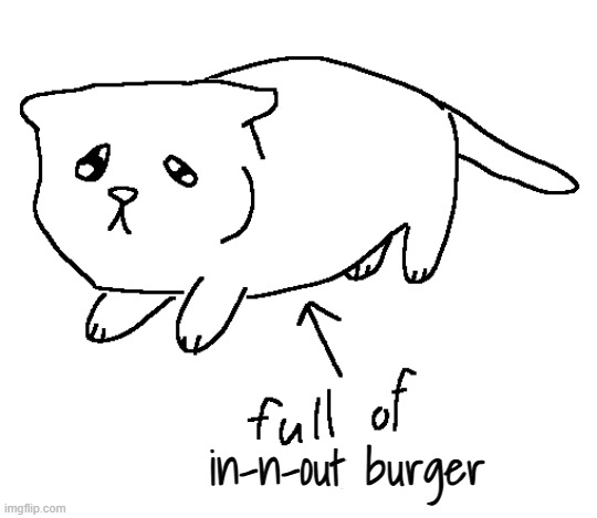birthday lunch so yummers | in-n-out burger | image tagged in full of milk cat | made w/ Imgflip meme maker