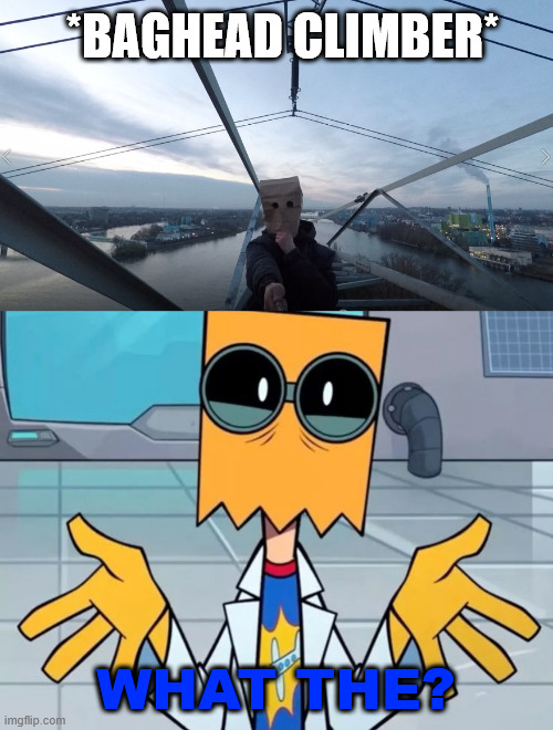 Dr. Flug meet a Climber | *BAGHEAD CLIMBER*; WHAT THE? | image tagged in dr flug,meme,lattice climbing,villainous,climbing memes,cartoons | made w/ Imgflip meme maker
