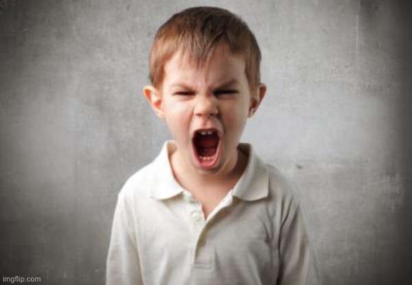angry kid | image tagged in angry kid | made w/ Imgflip meme maker